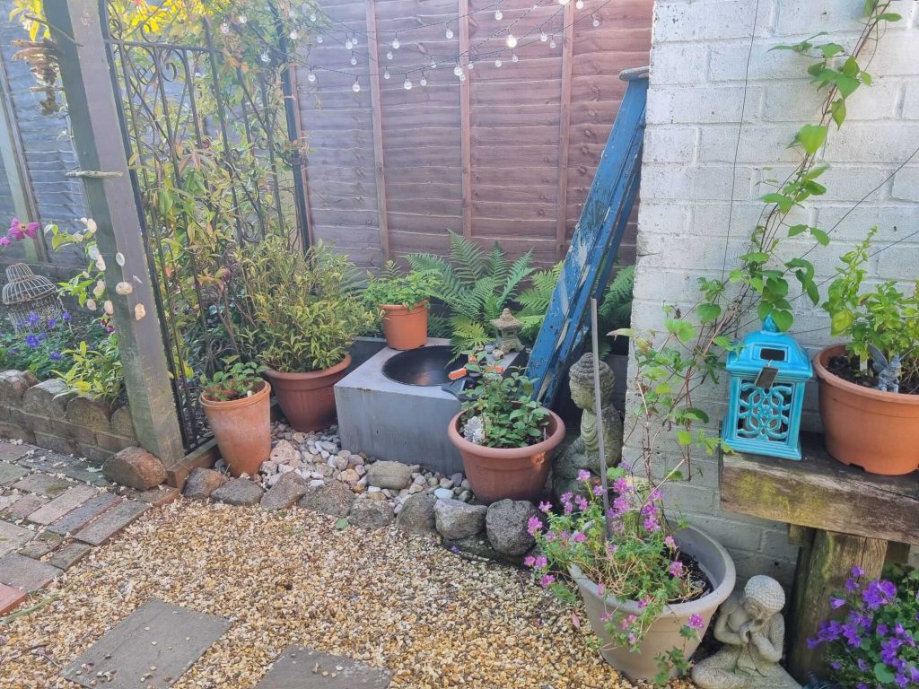 The lush retreat gardens at The Alchemist Retreat, promoting healing and connection to nature.