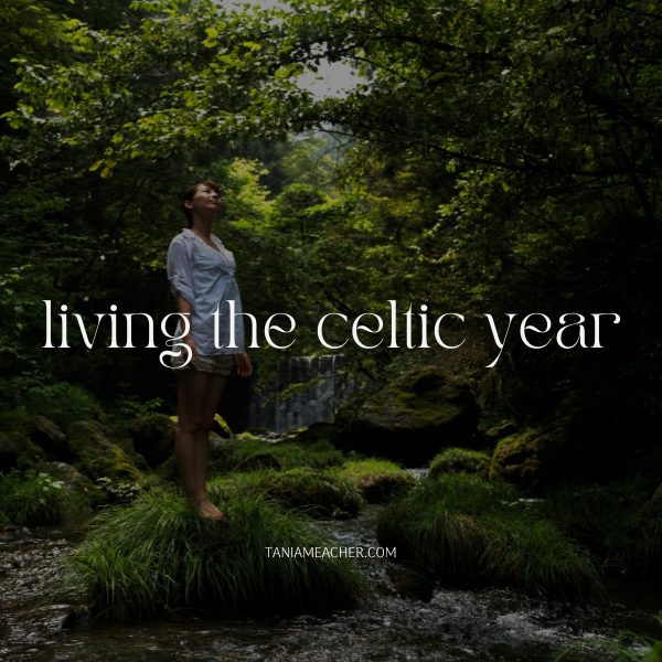women's wellness and spiritual development courses - the Celtic Year