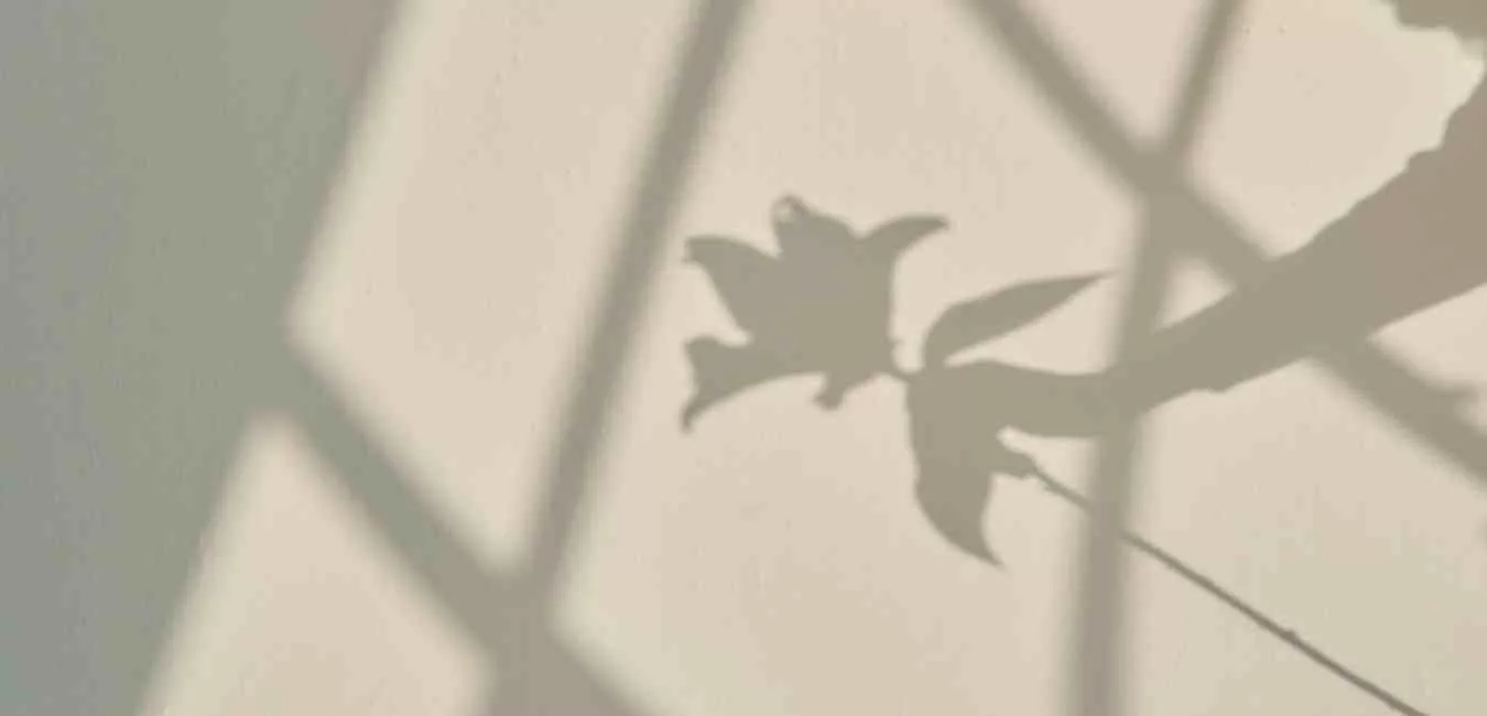8 Somatic Practices to Rebuild Trust in Your Body After Trauma