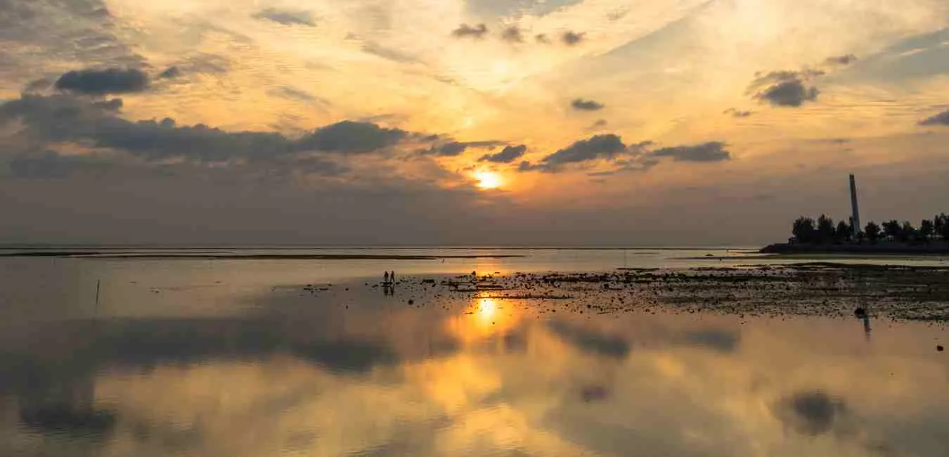 How Ancestral Trauma Lives in Your Body (And How to Heal It)