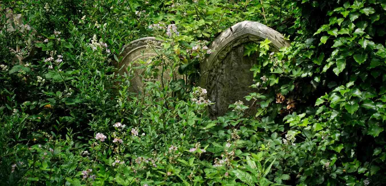 How Your Ancestral Legacy Shapes Your Life Today