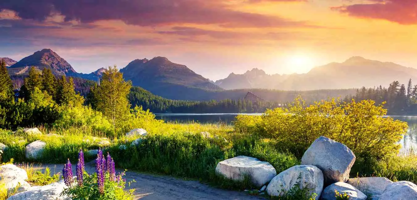 Tracing the Wound: Somatic Healing for Deep Trauma Release