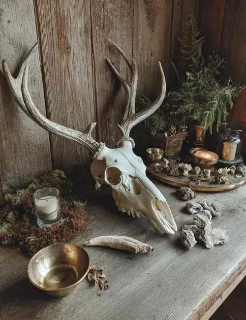 ancestral healing. family constellations in Hampshire #3