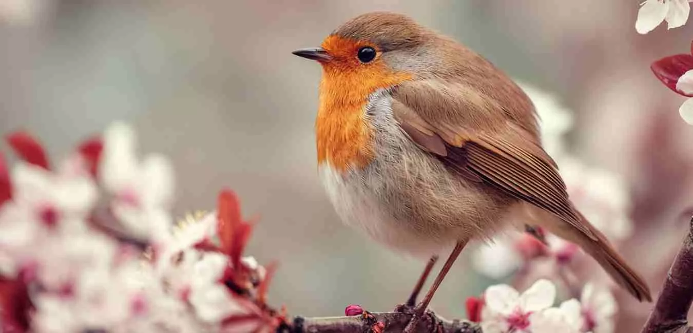 March Correspondences A Witch’s Guide to the Magic of Renewal