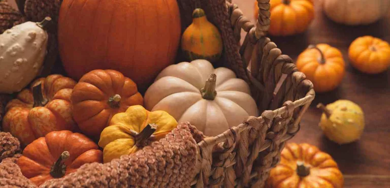 September witchcraft - rituals of balance, harvest and ancestral magic