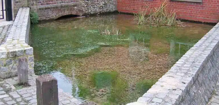 Homewell Spring in Havant — ancient source of pure water once honoured as the heart of Hamafunta, the spring-town