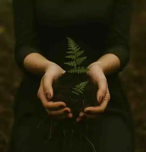 A woman sits grounded outdoors at dusk, her hands cupping rich soil and small ferns in a gesture of release and renewal. The earthy tones and plum nail polish evoke healing, embodiment, and connection to the land.