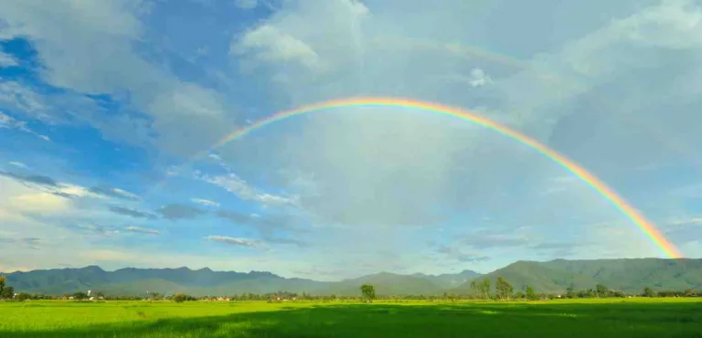 Cyclical Magic Embracing the Seasons of Life