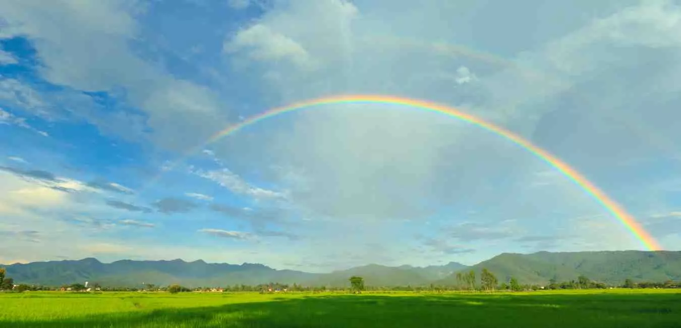 Cyclical Magic Embracing the Seasons of Life