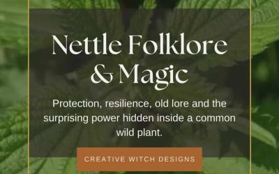 Nettle Folklore & Magic: Protection, Strength & the Power of a Wild Plant