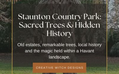 Staunton Country Park: Sacred Trees, Hidden History & the Spirit of the Land