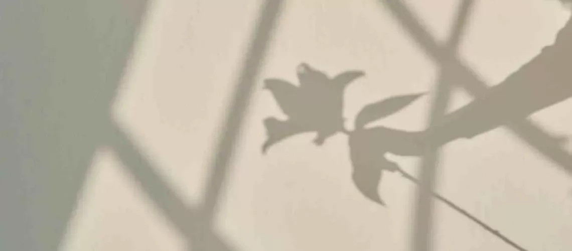 8 Somatic Practices to Rebuild Trust in Your Body After Trauma