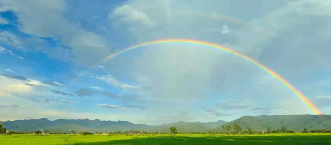 Cyclical Magic Embracing the Seasons of Life