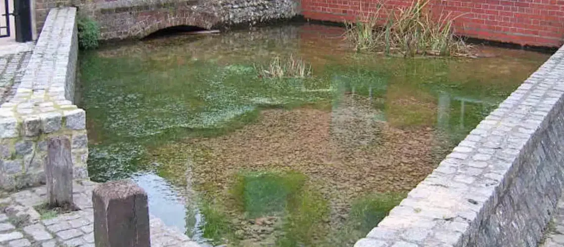 Homewell Spring in Havant — ancient source of pure water once honoured as the heart of Hamafunta, the spring-town