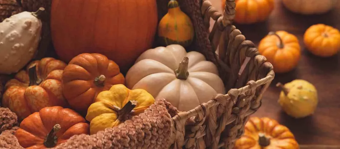 September witchcraft - rituals of balance, harvest and ancestral magic