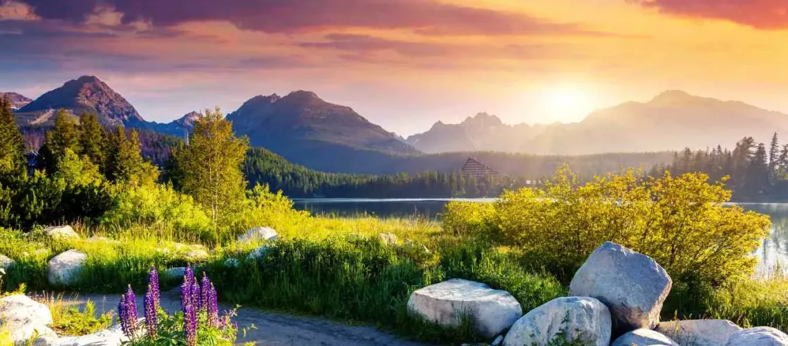 Tracing the Wound: Somatic Healing for Deep Trauma Release